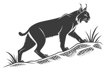 Majestic Lynx Silhouette Strolling Calmly on Grassy Terrain Detailed Monochrome Illustration of a Wildcat