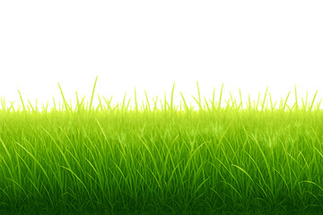 Green grass isolated on transparent background