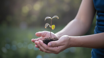 Hands holding a small plant with soil in a green garden  