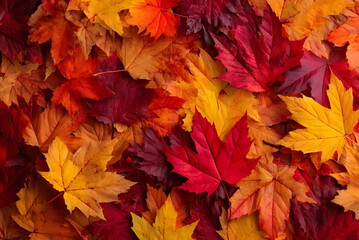 Vibrant Autumn Leaves Create a Stunning Fall Background, A close-up view of a large collection of autumn leaves, showcasing a rich mix of reds, oranges, and yellows.