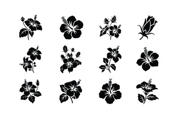 Black hibiscus flowers and buds silhouette collection floral botanical