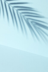 palm leaf shadow on blue background. Creative layout, minimalism