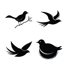 Fototapeta premium silhouette Birds bundile