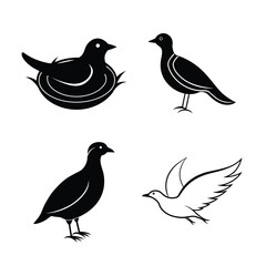 silhouette Birds bundile