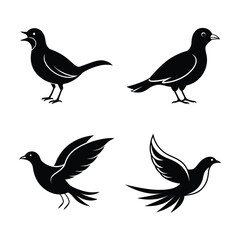 silhouette Birds bundile