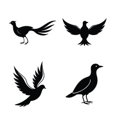 silhouette Birds bundile
