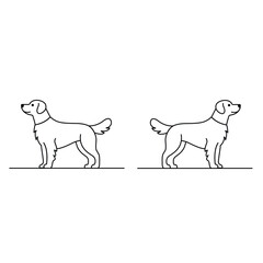 Golden retriever dog illustration, Puppy,Silhouette, Line art, Line drawing