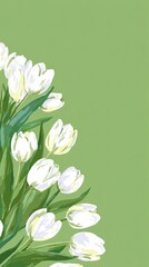 White tulips bouquet on a light green background