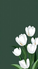 White tulips on dark green background