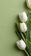 Delicate white tulips arranged on a pale sage green backdrop