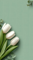 Three white tulips and eucalyptus sprigs arranged in a corner on a sage green background