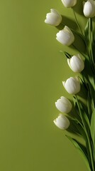 White tulips arranged against a lime green backdrop