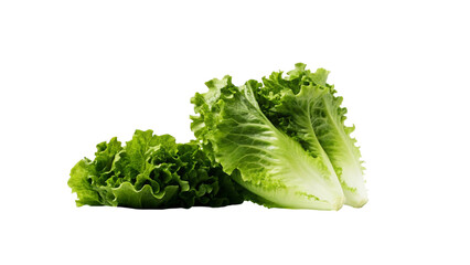 Close-up of fresh romaine lettuce leaves on a black background