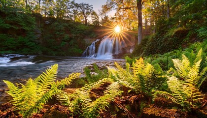 ferns glowing near waterfall landscape at sunrise in the woods