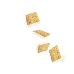 cork board isolated on white background