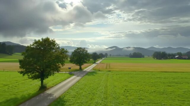 Bird's-eye view of the bishop wood along Brown Avenue, Chishang, Taitung, Taiwan