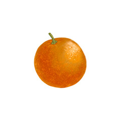 drawing fruit, whole orange isolated at white background