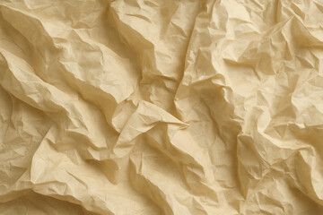 Crumpled Paper Texture: Aged Vintage Parchment with Distressed Surface