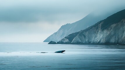 Whale surfacing near foggy coastal cliffs