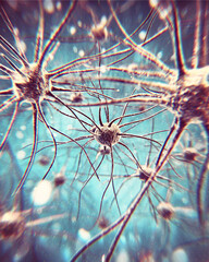 A microscopic view of interconnected neurons with dendrites against a blueish background network