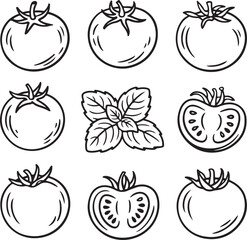 Tomato Doodle Vector Set with Whole and Sliced Sketches in Hand Drawn Style

Tomato Doodle Vector Set with Whole and Sliced Sketches in Hand Drawn Style