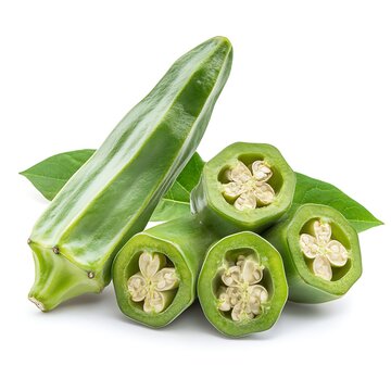 vegetable