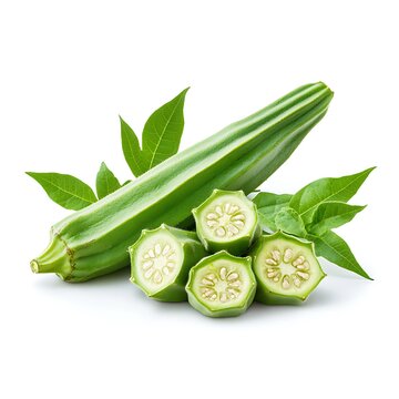 vegetable