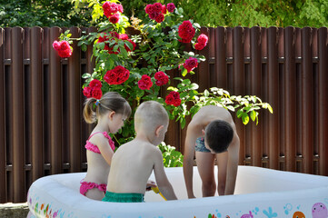Kids enjoying water play in an inflatable pool surrounded by blooming red roses on a warm summer day. 