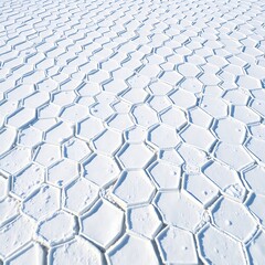 Obraz premium Hexagonal salt formations at Salinas Grandes, Argentina