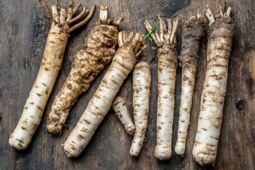 Freshly harvested horseradish roots on rustic wooden table with natural lighting