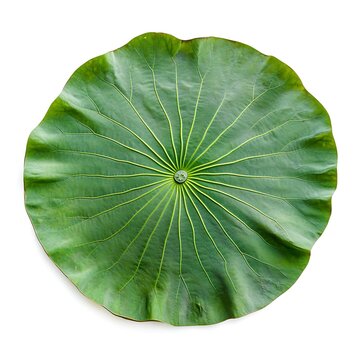 leave