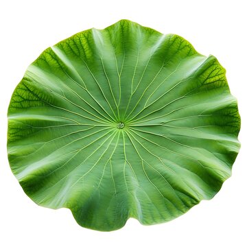 leave