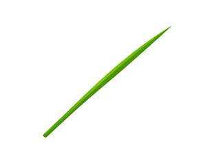 Single Green Blade of Grass on Transparent Background
