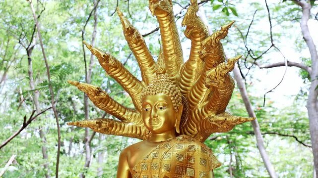 Gold Buddha statue, Golden Buddha statue with seven-headed naga outdoors, Detailed art and faith, reflecting Thai culture and religion, perfect for spiritual and cultural footage, close-up