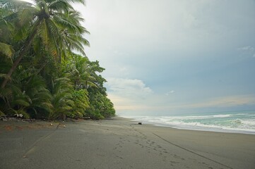 beach near La Leona ranger station in the Corcovado National Park in Costa Rica
