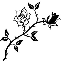 silhouette of a single climbing rose vine with thorns and buds © Nayon Chandro Barmon