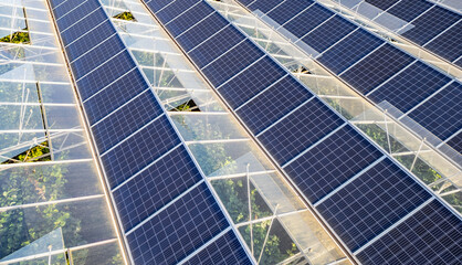 Greenhouse for growing vegetables with mounted photovoltaic solar panels on the roof, combining...