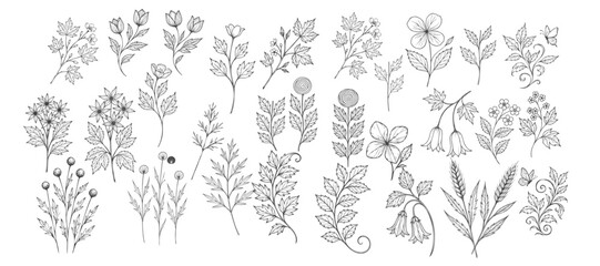 Fototapeta premium 25+ hand drawn style Abstract swirling stem with leaf in vector stock 