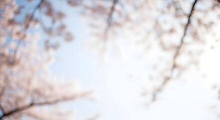 Blossoming Cherry Tree Branches with Pink Flowers in Spring Sky