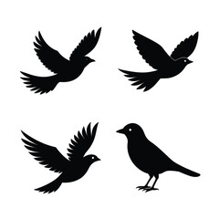 silhouette Bird