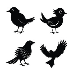 silhouette Bird