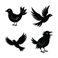 Fototapeta premium silhouette Bird