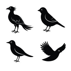 Obraz premium silhouette Bird