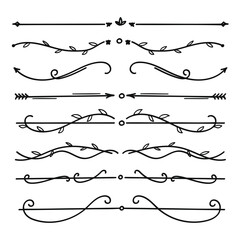Nature floral vine line divider hand drawn for text layout separator decoration element collection.