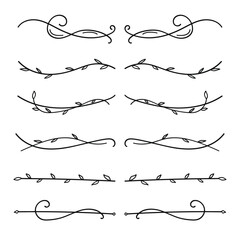 Nature floral vine line divider hand drawn for text layout separator decoration element set