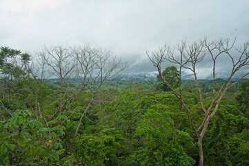 rainforest landscape in Costa Rica