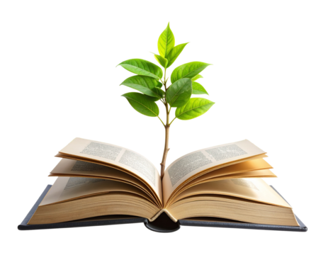 Surreal Open Book Floating in Air with Tree Sprout and Radiating Light, Transparent PNG