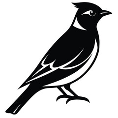 Obraz premium Bohemian Waxwing single vector shilhouette 