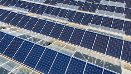 Greenhouse for growing vegetables with mounted photovoltaic solar panels on the roof, combining agriculture and solar energy for sustainable and eco-friendly food production.