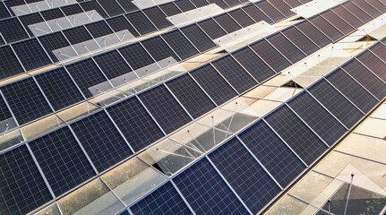Greenhouse for growing vegetables with mounted photovoltaic solar panels on the roof, combining agriculture and solar energy for sustainable and eco-friendly food production.